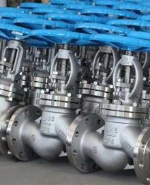 Hastelloy Valves